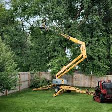 Best Leaf Removal  in Louisville, NE